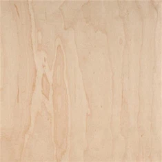 Kļavas serdes saplāksnis